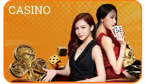23WIN 66 casino 23win